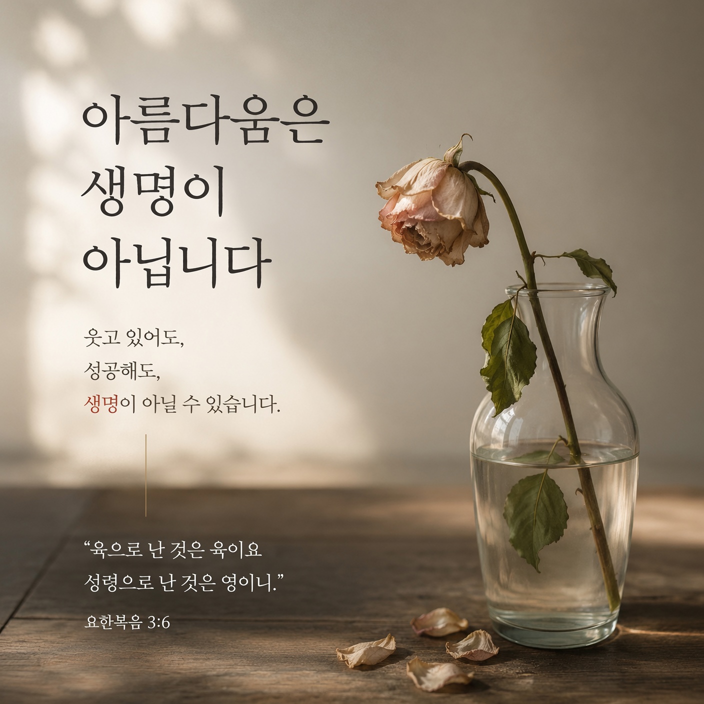 꽃은 왜 시들까요 — 요한복음 3장 거듭남이 말하는 참 생명